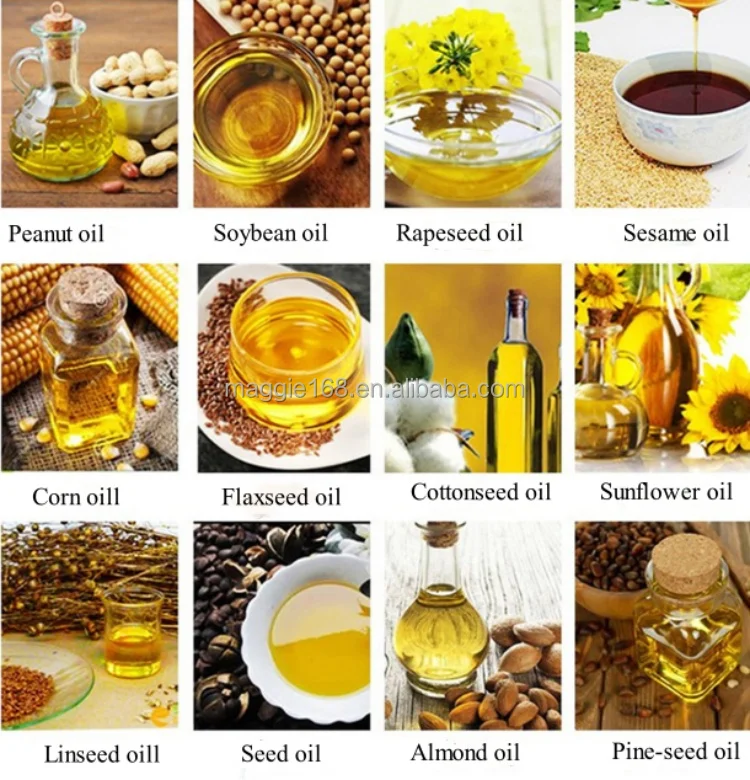 60MPA Shea Nut Palm Kernel Macadamia Almond Soya Bean Ginger Olive Oil Press Presser Cold Extraction Machine