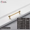 6235-96 Ottone spazzolato satinato