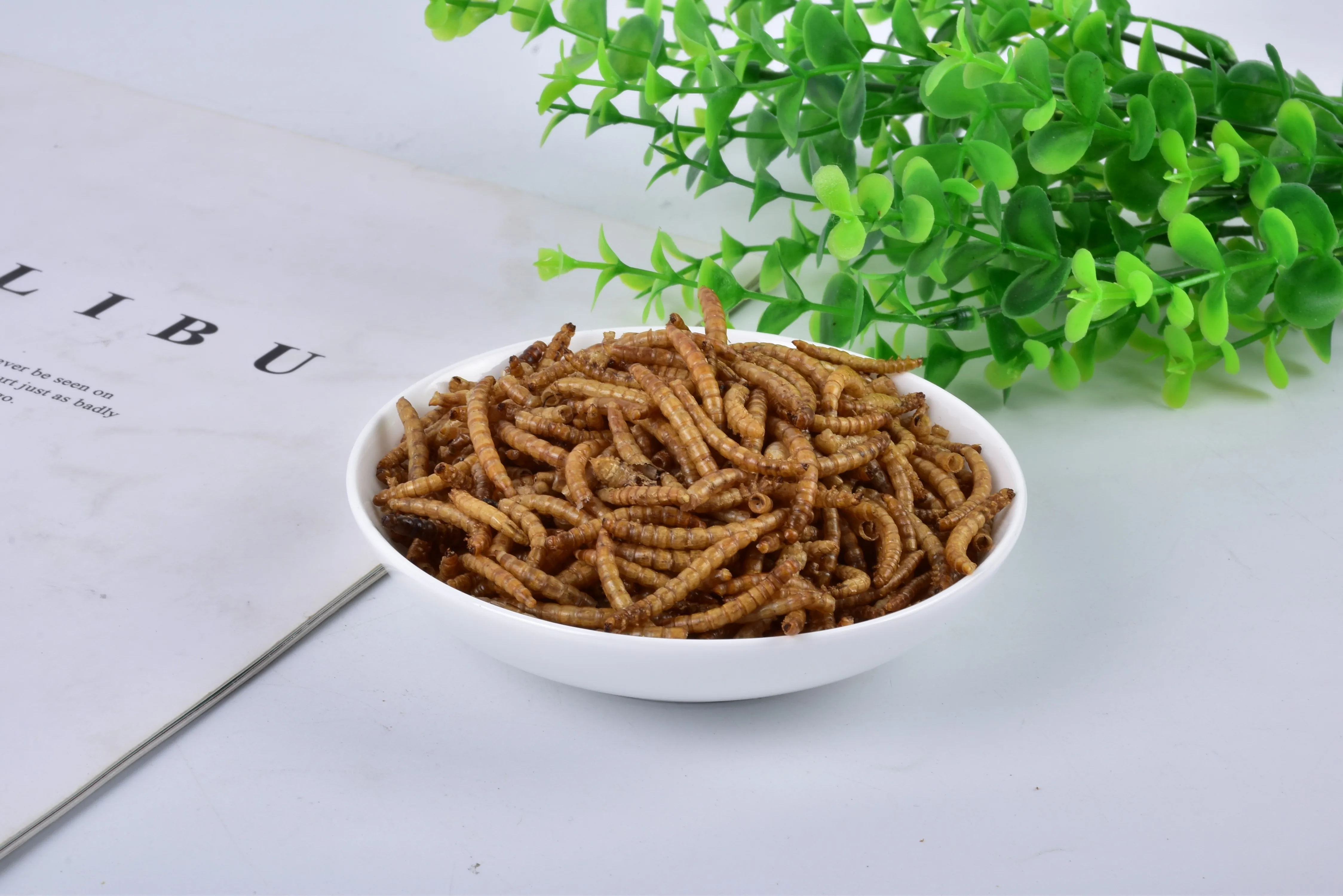 DRIED MEALWORMS MEALWORMS BLACK SOLDIER FLY LARVAE from Vietnam Akina