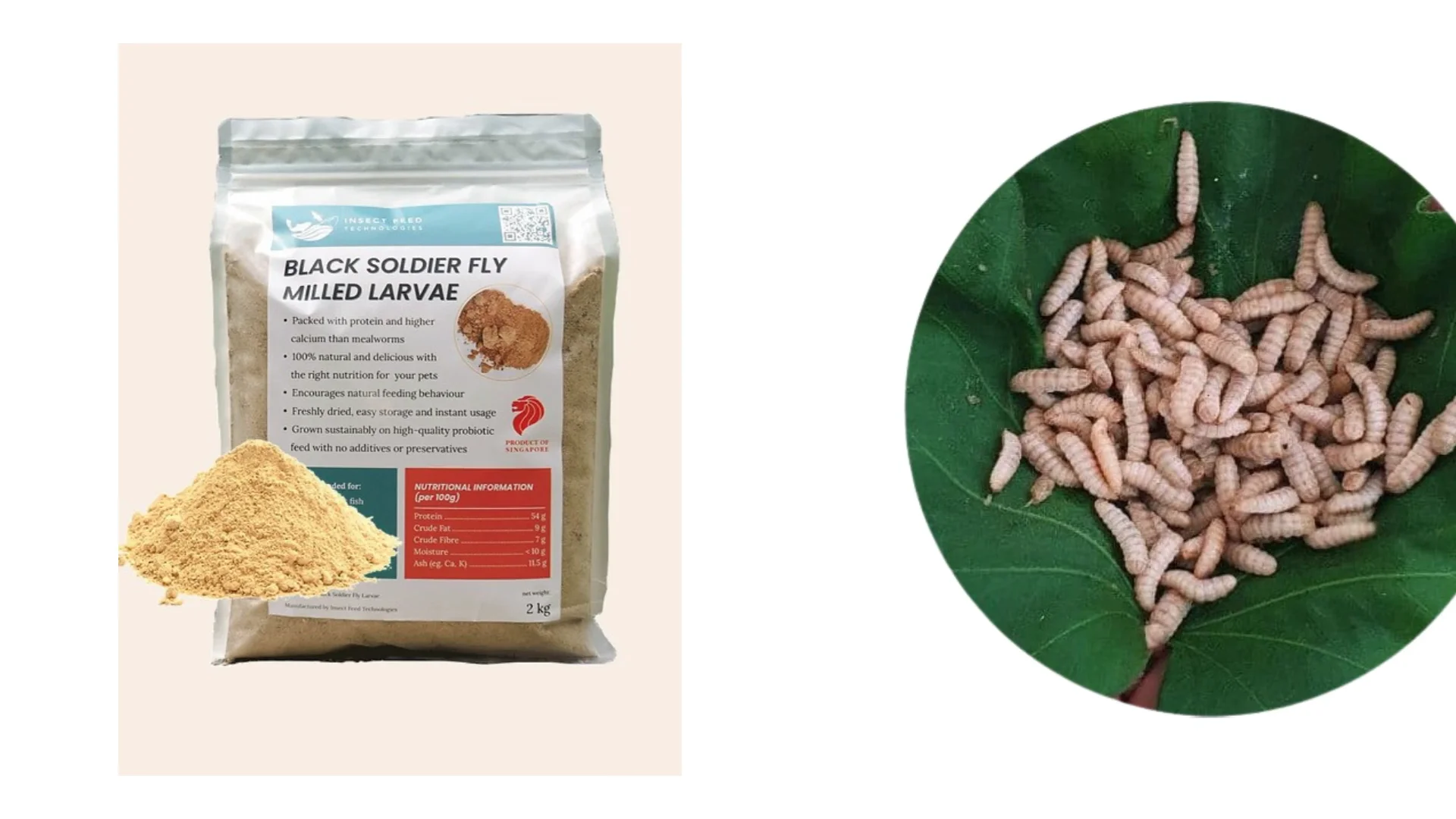 Insect Feed Technologies Organic Black Soldier Fly Protein Powder