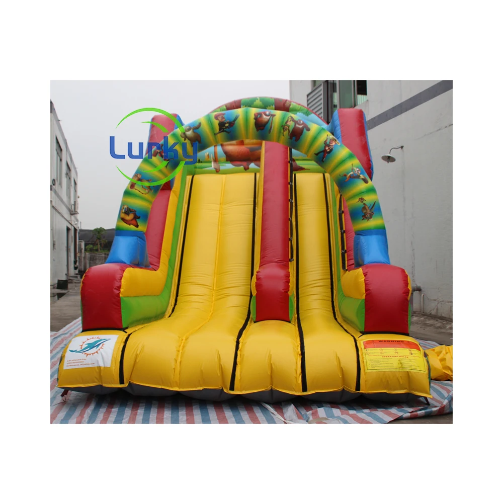 Cartoon Custom Inflatable Water Slide Backyard Kids Inflatable Slide ...