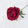Rosso5