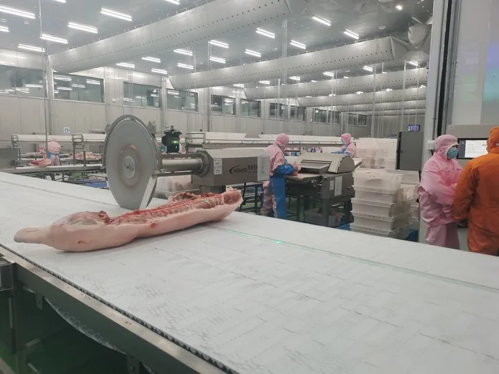 Durable PVC conveyor belts for food industry production lines and meat cutting industry