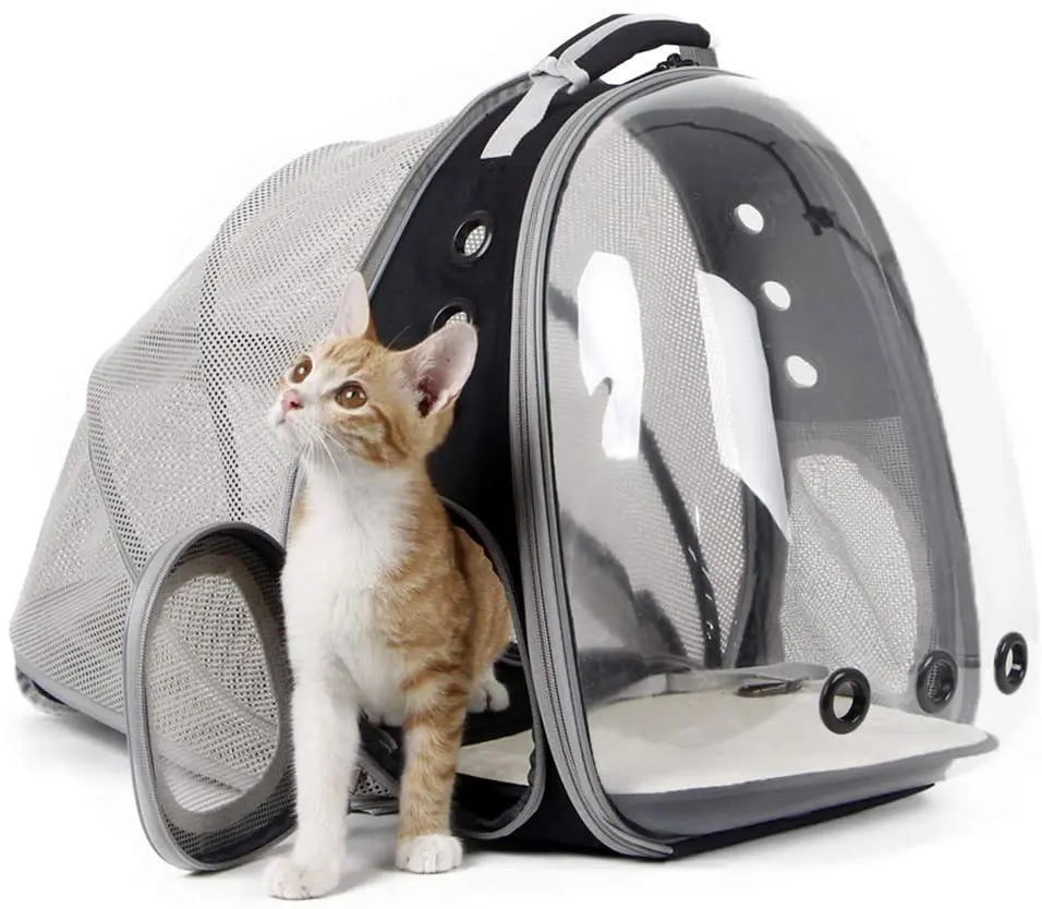 Прозрачный рюкзак для кота