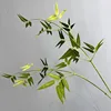 Small bamboo