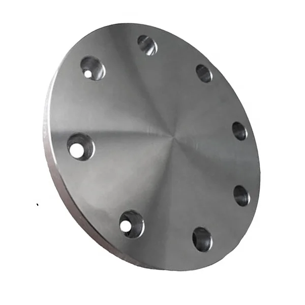 Din Flange Dn25 Pn10 - Standard Blind Flange for SS304