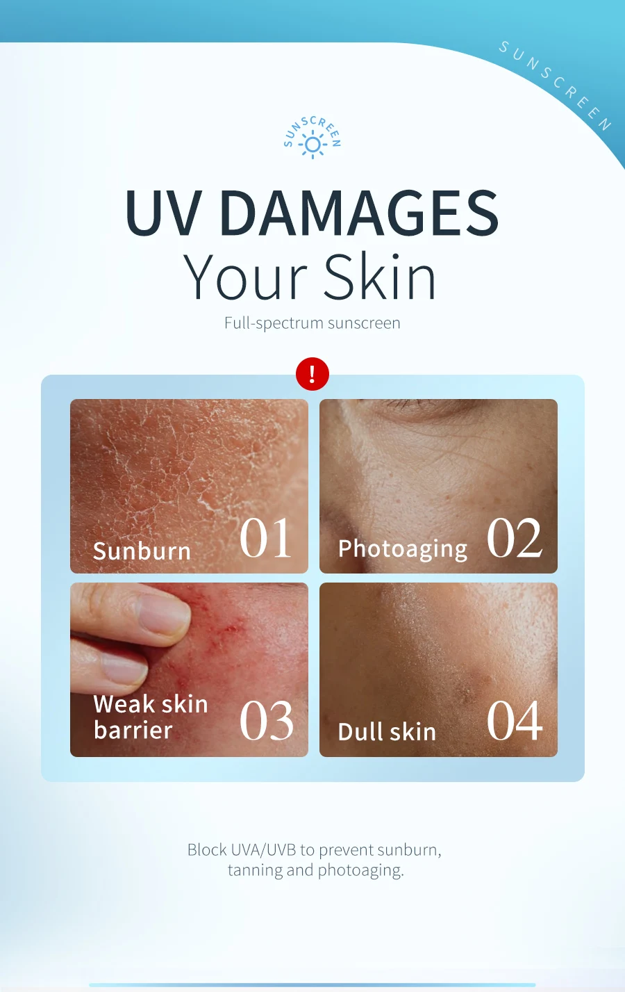 Private Label SPF50 PA++++ Sunscreen 50g Daily Defense For Dry Skin OEM(pic2)