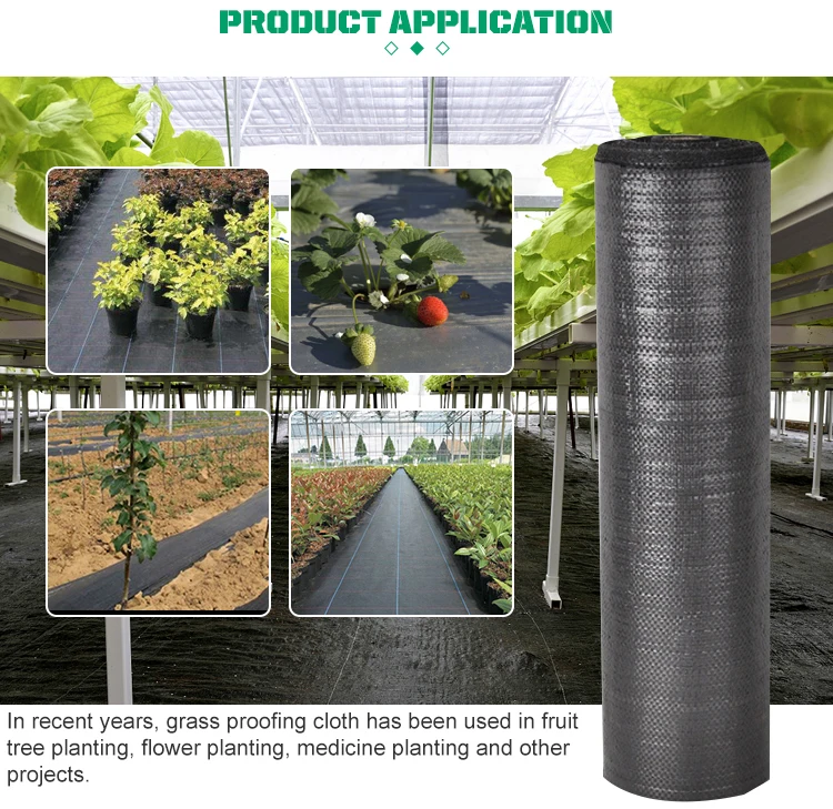 Agricultural Black Weed Control Mat With Different Sizes Ground Cover ...