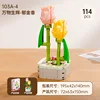 【103A-4】Tulipes