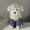 Chien