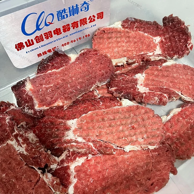 Commercial Automatic Electric Meat Tenderizer Stainless Steel Chicken Steak Beef Tender Machine for Home