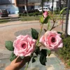 ราชินี3หัวกุหลาบผงลึก