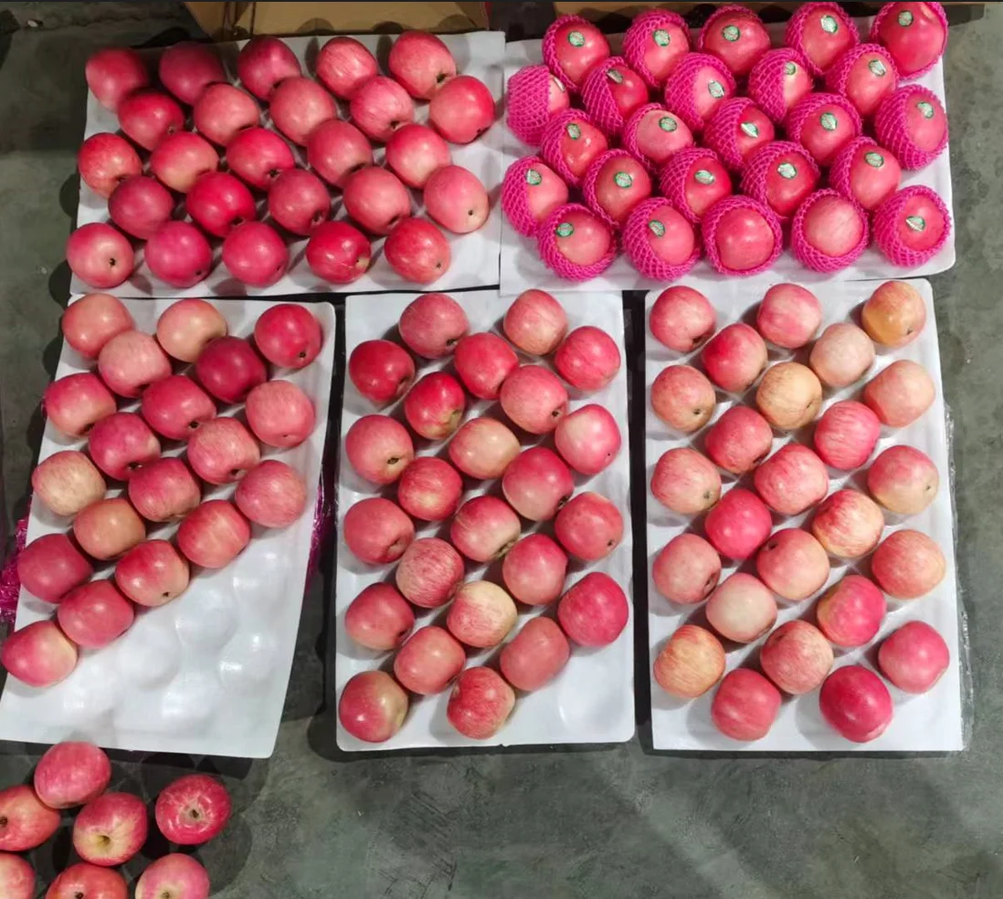 China Fresh Fuji Apple Wholesale Prices Fresh Apple Fruit In Bulk Buy Apple Wholesaler,Apple