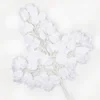 Foglie di banyan bianche