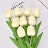 สีขาวครีม