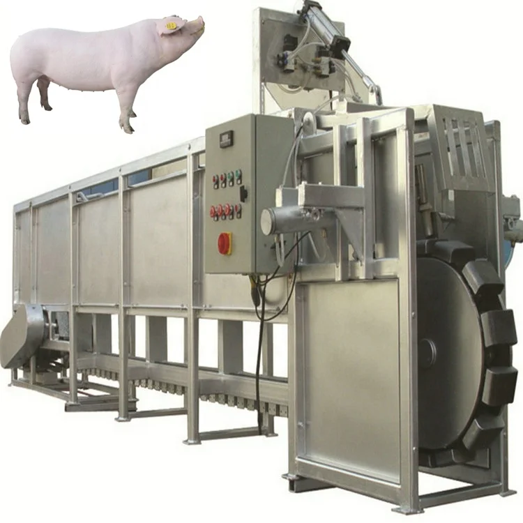 Sow slaughterhouse slaughtering equipment is used in pig processing plant slaughtering line