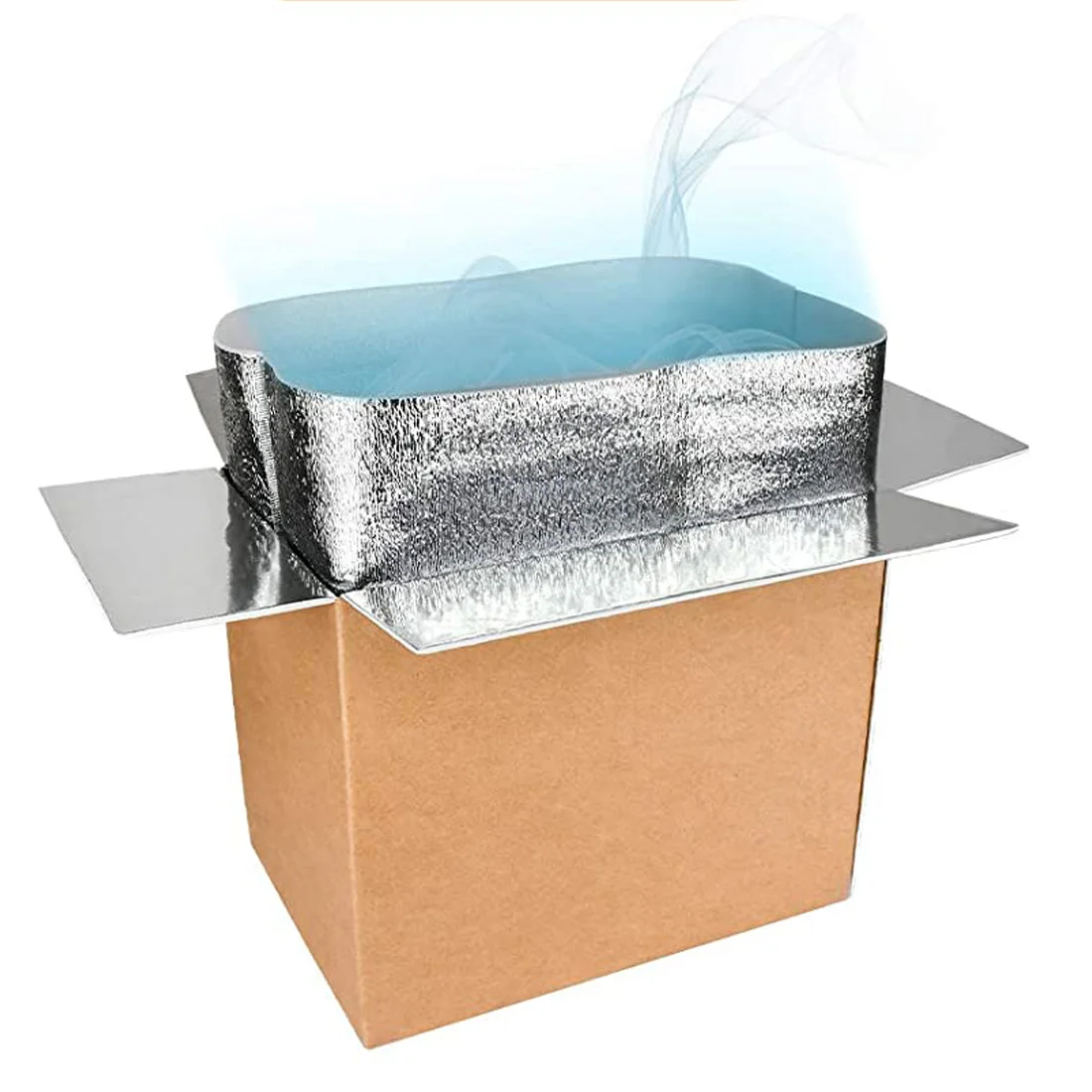 Custom Insulated Cardboard Carton Boxes Cold Shipping Frozen Food