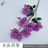 6-headed rose XY purple