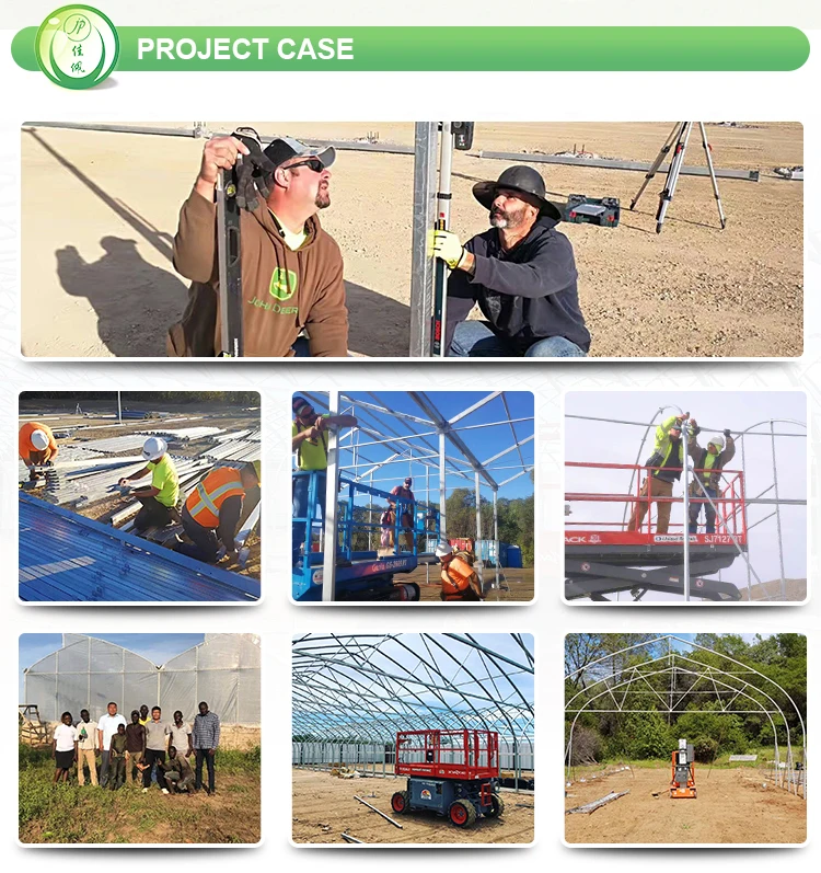 Home Garden Green House Agricultural Greenhouse Manufacturing Back Yard