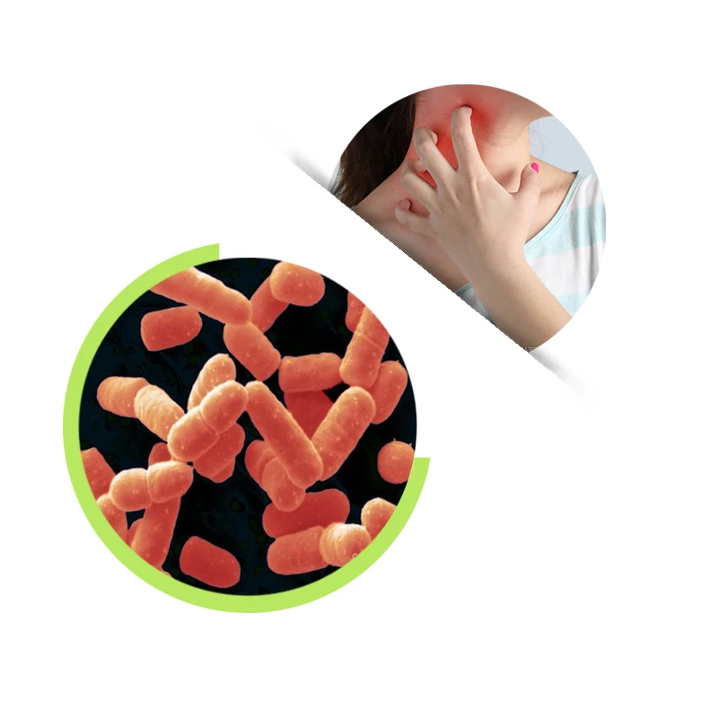 Пробиотики lactobacillus. Lactobacillus sporogenes. Lactobacillus salivarius. Лактобациллы хельветикус. Пробиотик Streptococcus salivarius к12.