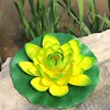 Green Eva lotus flower [leaves approximately 28cm]
