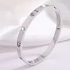 Sz-666 silver ten diamond