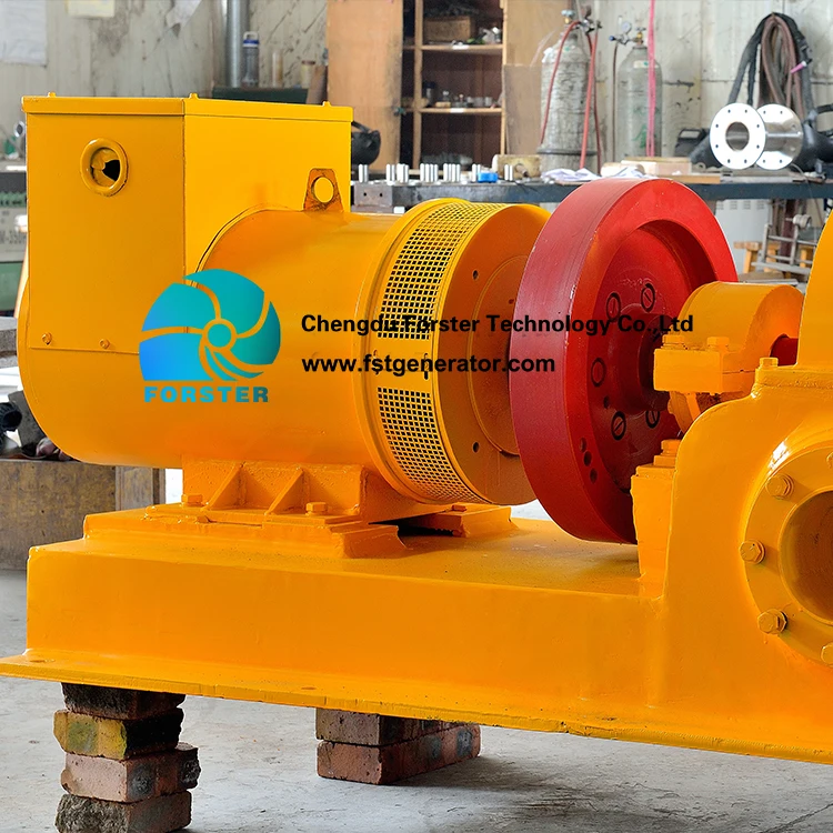 Hydro Generator Turgo Turbine Generator 20kw 30kw 40kw Hydraulic Turbine for Small Hydro Plants