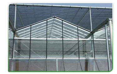 Multi Span Glass Greenhouse
