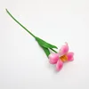 Deep pink flowering tulips