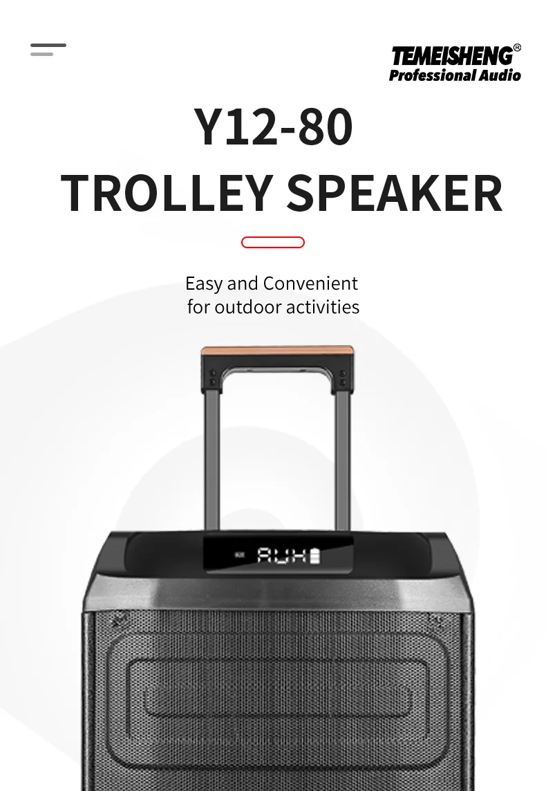 Temeisheng 12inch Trolley Subwoofer - Big Powered Sound Box