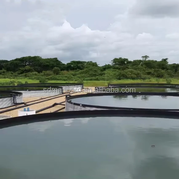 Большой пластиковый резервуар для выращивания креветок из ПВХ