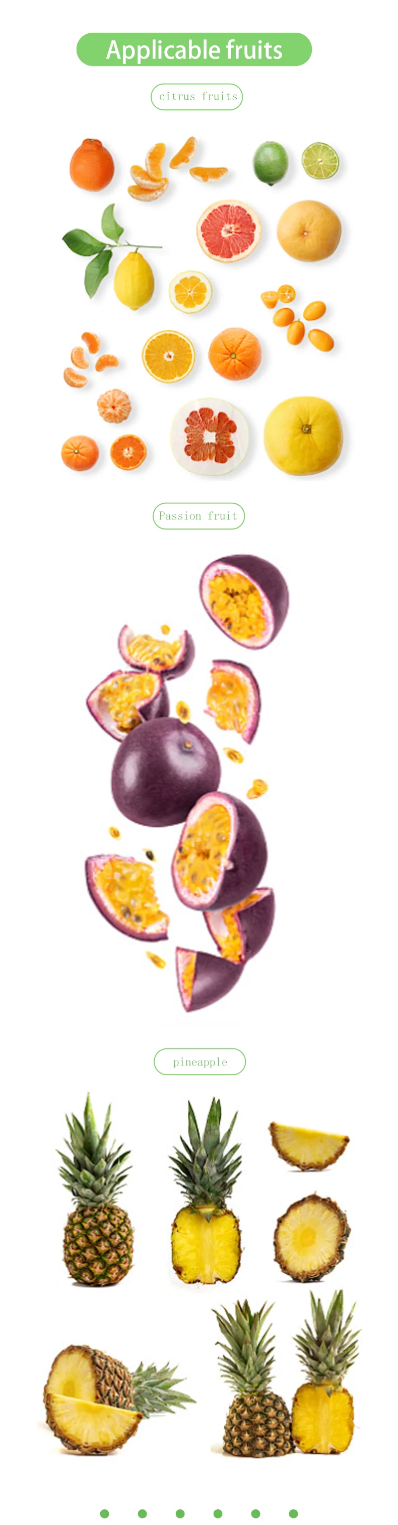 Industrial Extractor Juice Maker Passion Fruit Machine Pulpe details