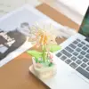 Chrysanthème