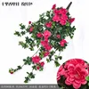 Colgante de pared de vid fragante - Rosa roja