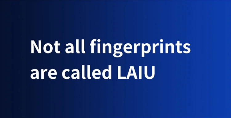 L3S_03.jpg