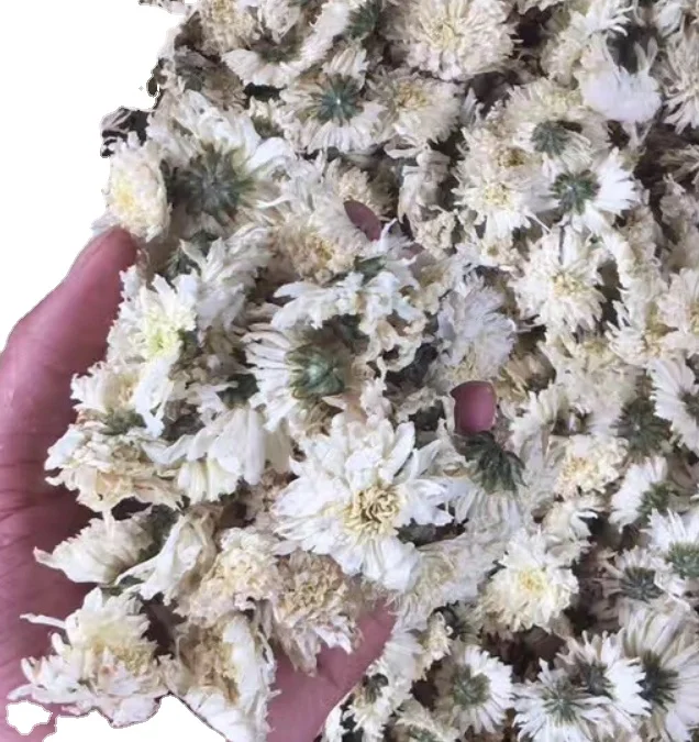 عالية الجودة الخام عبق الشاي الأبيض المجففة زهرة الأقحوان الكامل Buy Chrysanthemum Flowers White Chrysanthemum Flowers Dried Chrysanthemum Flowers Product On Alibaba Com