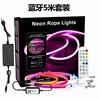 24 Keys Bluetooth RGBIC Neon Light