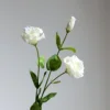 Blanco-75cm