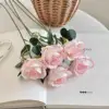 Rosa sfumato