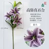 ลิลลี่ฟิล์มพิมพ์ 3 มิติแบบก้านสูง สีม่วง