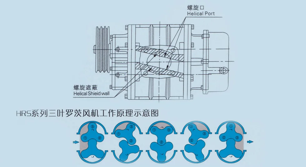 Roots Blower, FUTI, TWO, BLADES, HORIZONTAL - detail 4