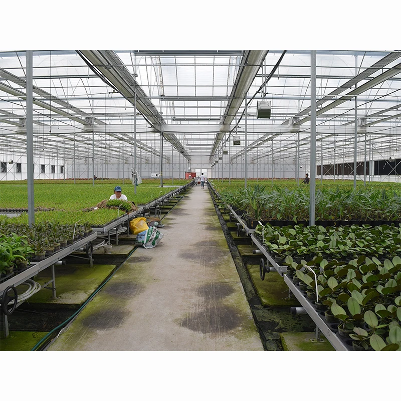 Custom 4x8 Movable Hydroponic Ebb Flow Rolling Bench Grow Rack System Growing Table Seedbed for Various Plant Types for Seeding