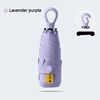 Lavender purple
