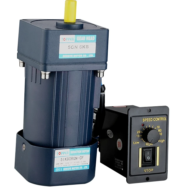Micro AC Gear Moto/Small Size Micro Gear Motor