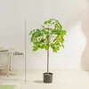 120cm