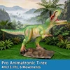 Pro Trex-4m (13,1 pi) - 6 Mouvements