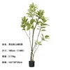 Ficus altissima B à bords jaunes (118 feuilles) 180cm