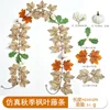 21-head autumn maple vine - L [2m]