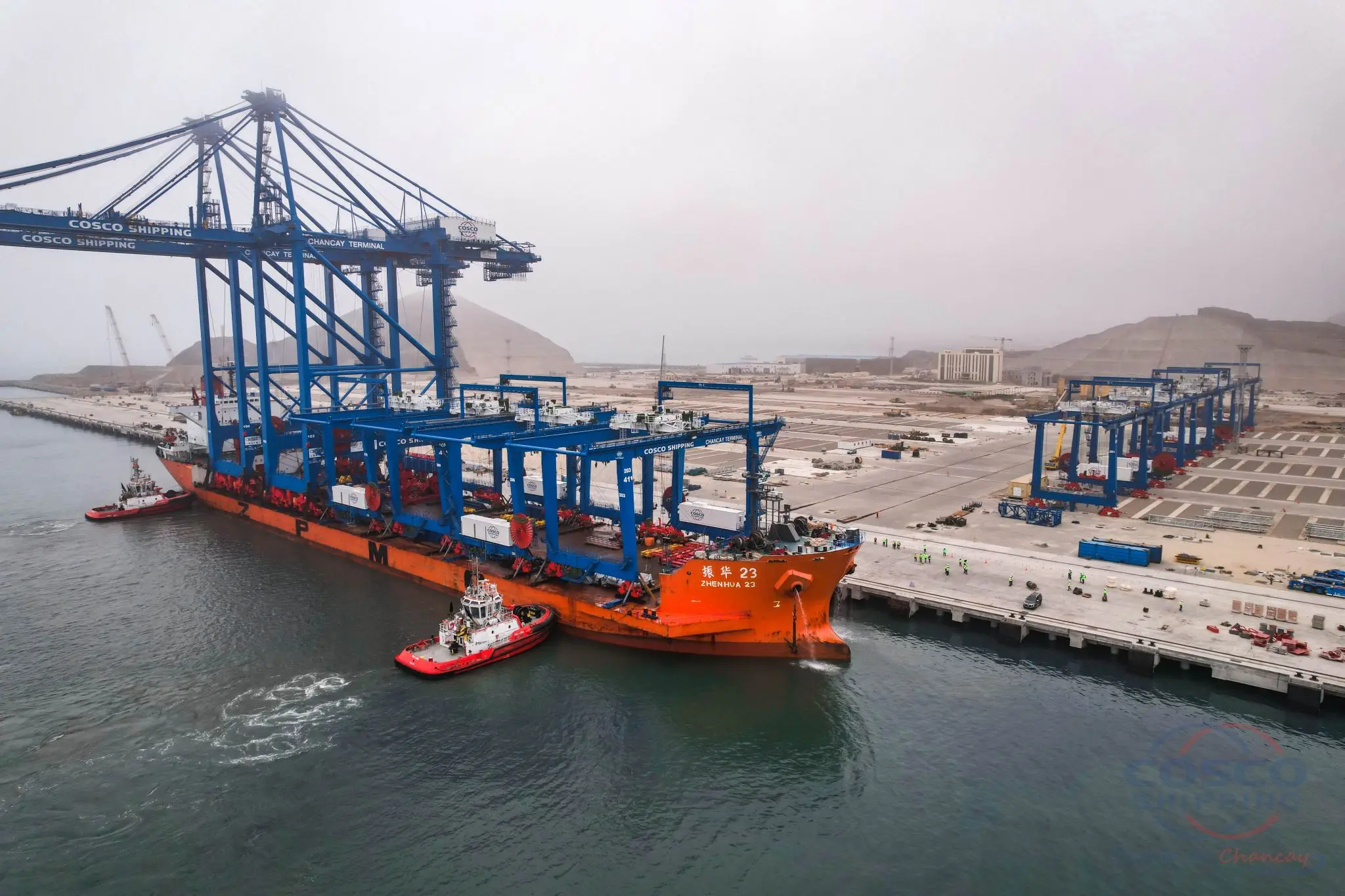 FCL 20FT 40HC Full Container Freight Forwarder Form China Ningbo Shanghai to Istanbul Mersin IZMIT Turkey  Shipping Agent