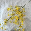 Giallo-chiaro